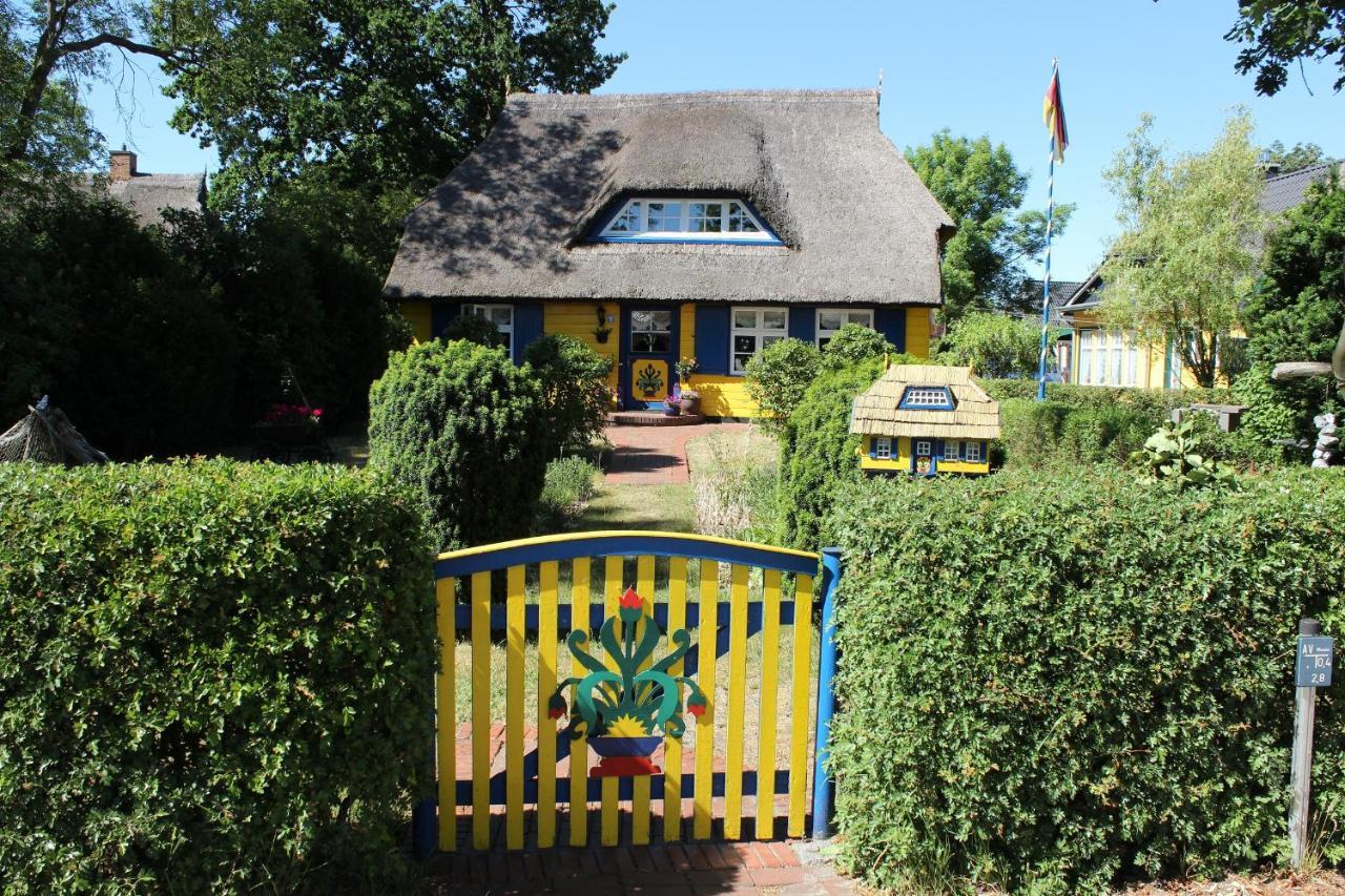 Strandstr_51 Wohnung 9 Zingst Exterior foto